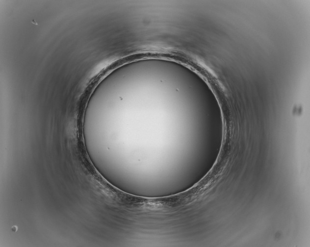 X0000096191315200802011357