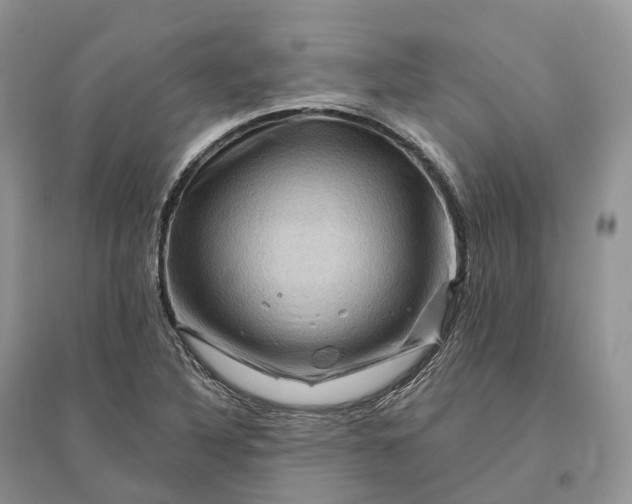 X0000096191316200802011357