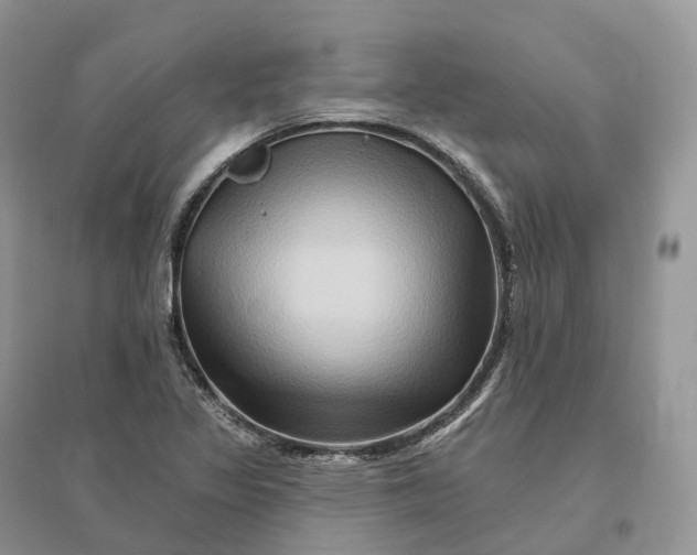 X0000096191317200802011357