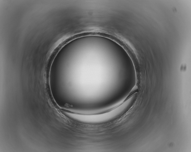X0000096191318200802011357