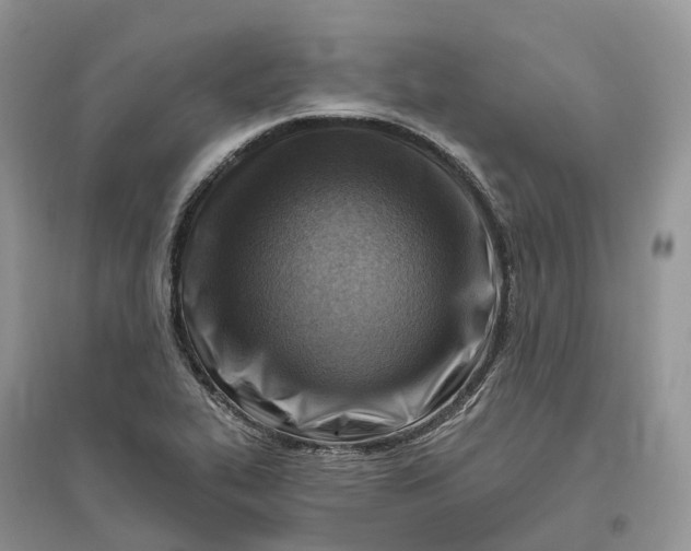 X0000096191319200802011357