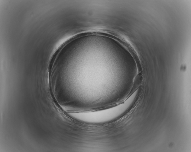 X0000096191320200802011357