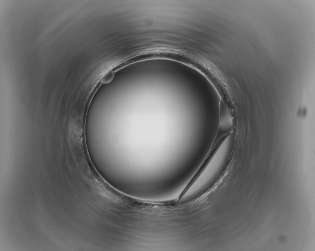 X0000096191321200802011357