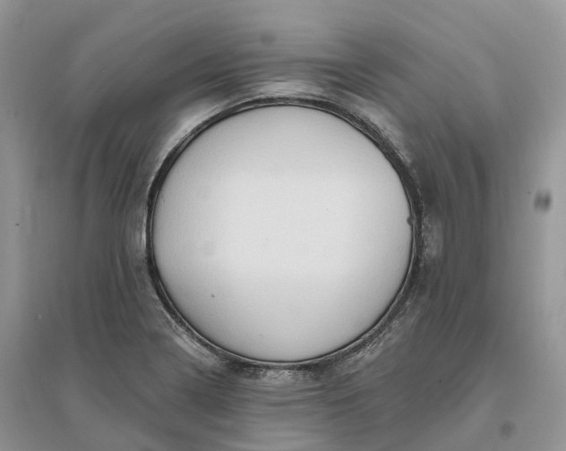 X0000096191322200802011357
