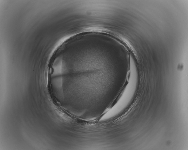X0000096191323200802011357