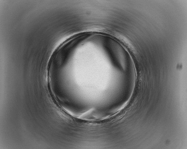 X0000096191324200802011357