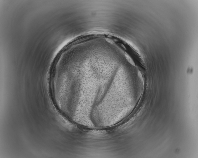 X0000096191325200802011357