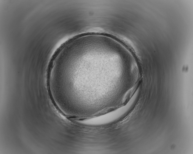 X0000096191326200802011357
