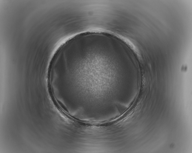 X0000096191327200802011358