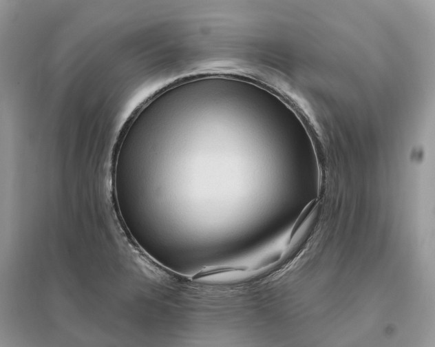 X0000096191328200802011358