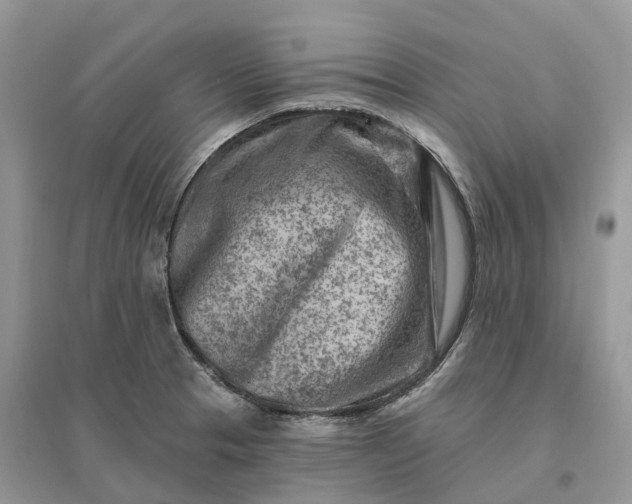 X0000096191329200802011358