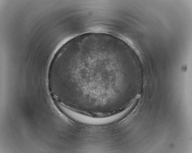 X0000096191331200802011358