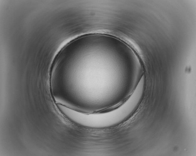 X0000096191332200802011358