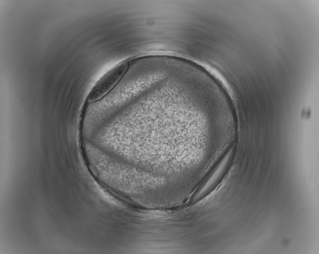 X0000096191333200802011358