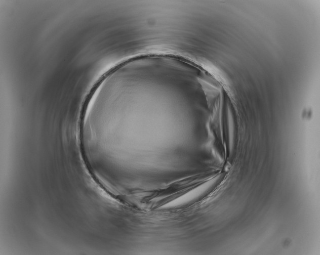 X0000096191334200802011358