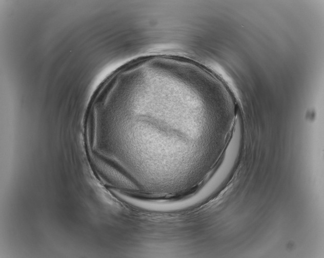 X0000096191336200802011358