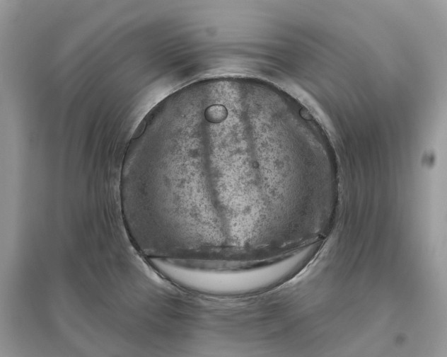 X0000096191337200802011358