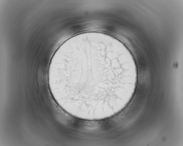 X0000096191338200802011358