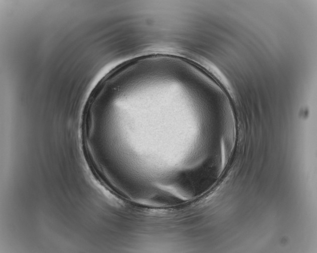 X0000096191339200802011358