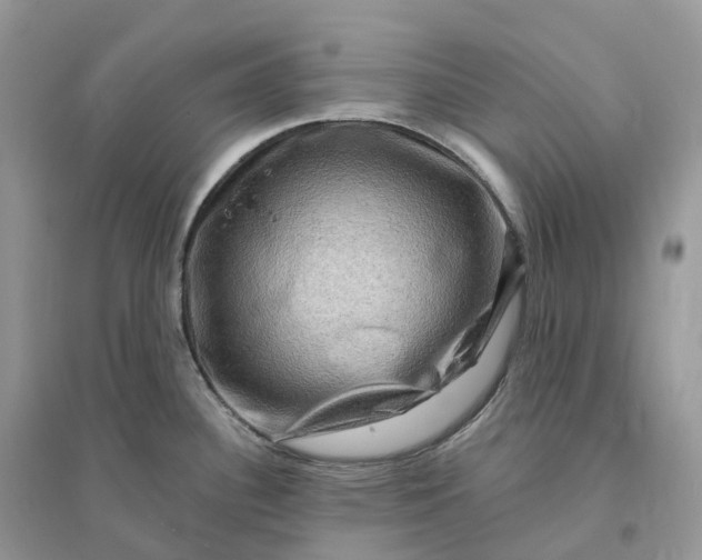 X0000096191340200802011358