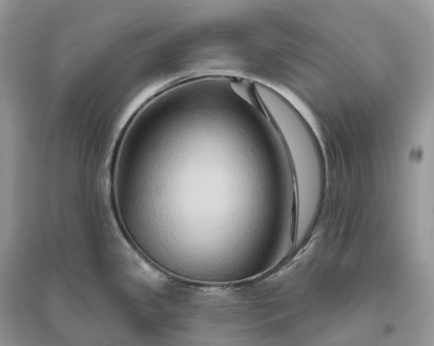 X0000096191341200802011358