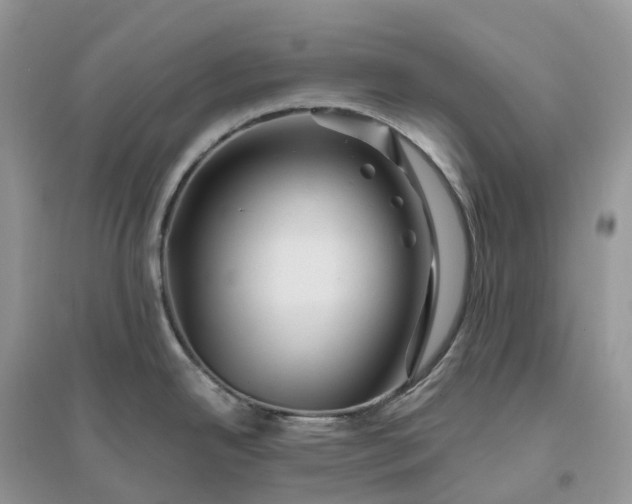 X0000096191342200802011358