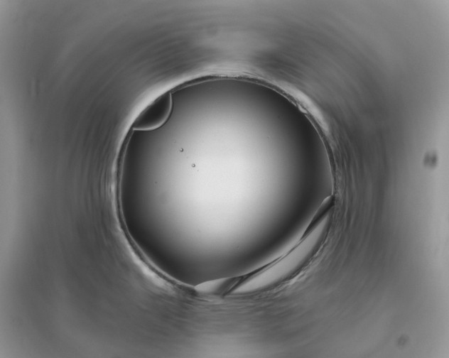 X0000096191343200802011358