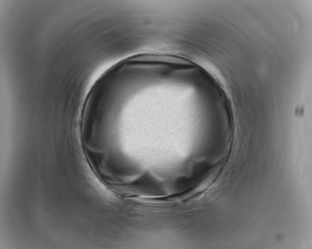 X0000096191344200802011358