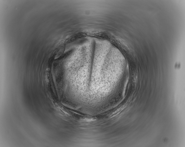 X0000096191346200802011357