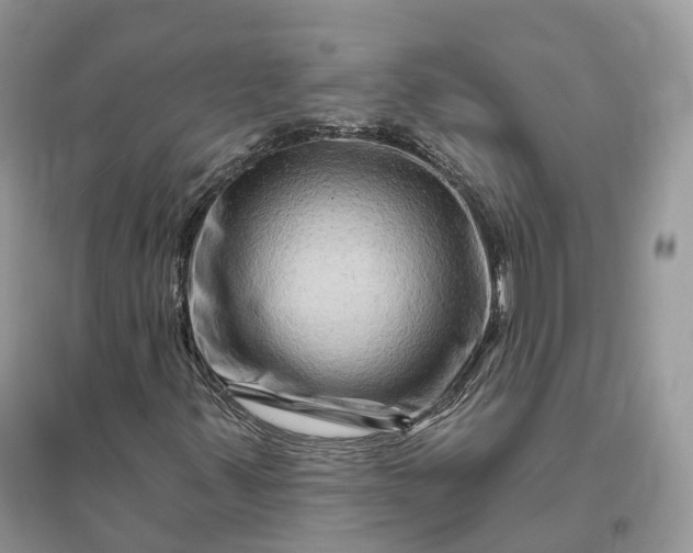 X0000096191347200802011357