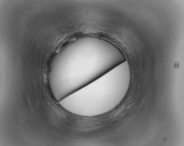 X0000096191348200802011357