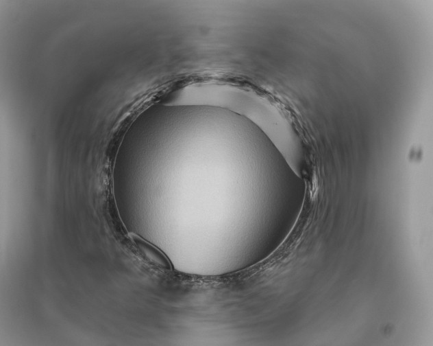 X0000096191349200802011357