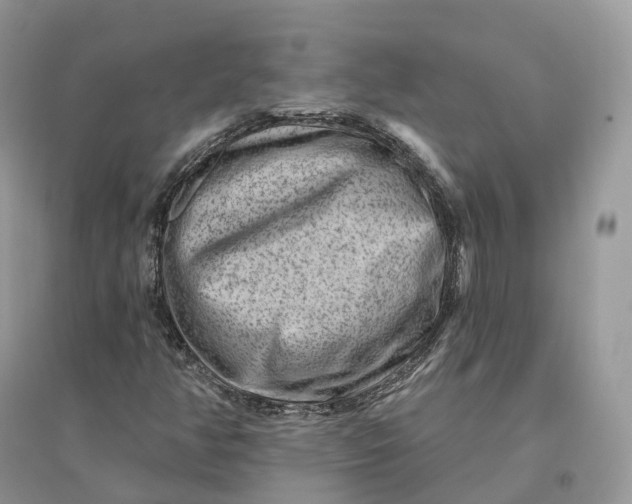 X0000096191350200802011357
