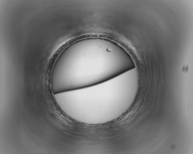 X0000096191352200802011357