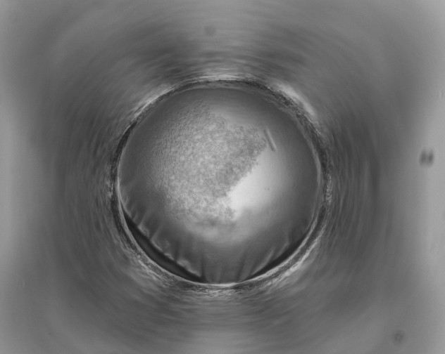 X0000096191353200802011357