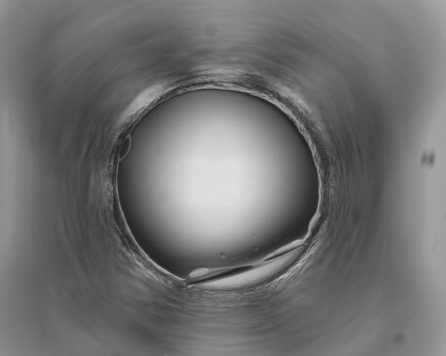 X0000096191354200802011357
