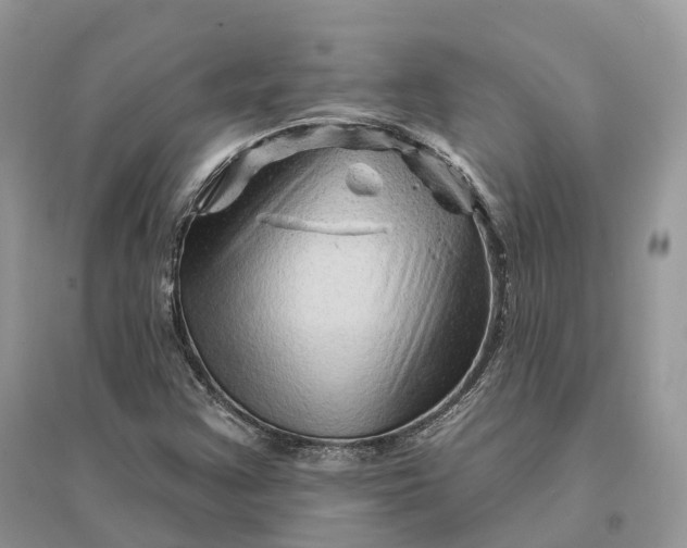 X0000096191355200802011357