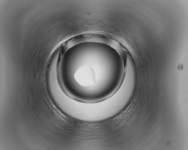 X0000096191356200802011357