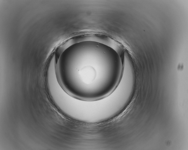 X0000096191357200802011357