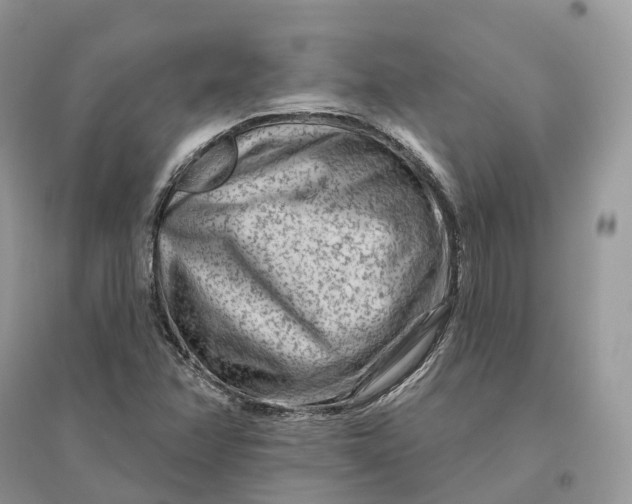 X0000096191358200802011357