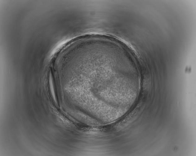 X0000096191359200802011357