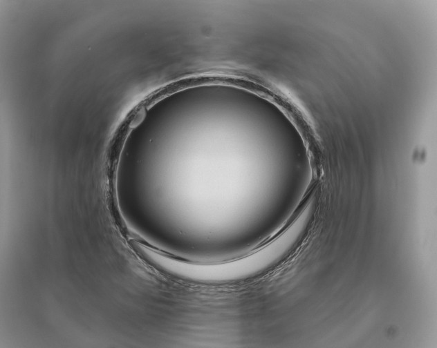X0000096191360200802011357