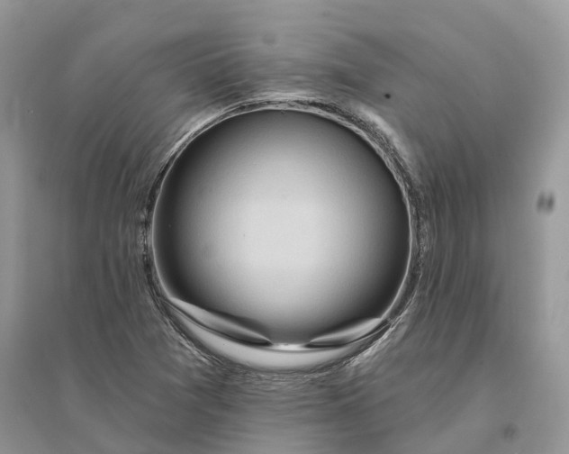X0000096191361200802011357