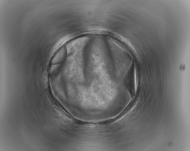 X0000096191362200802011357