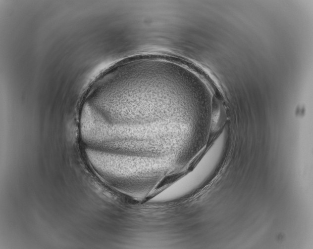 X0000096191363200802011357
