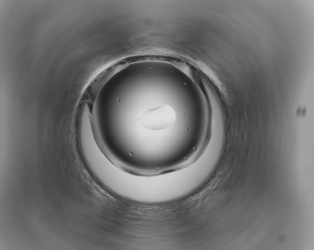 X0000096191364200802011357