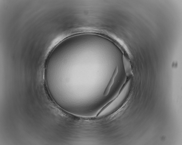 X0000096191365200802011357