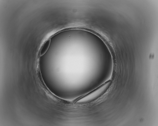 X0000096191366200802011357