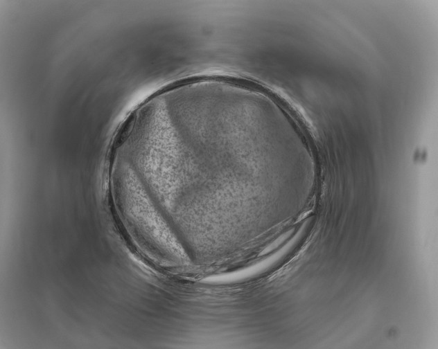 X0000096191367200802011357