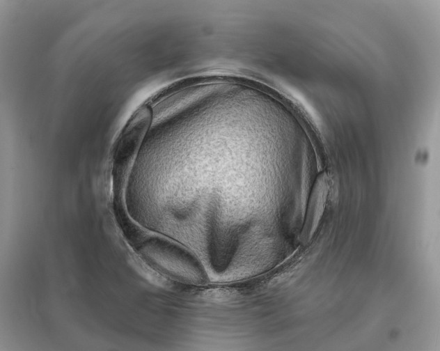 X0000096191368200802011357